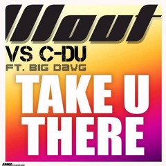 DJ Wout &  C-DU - Take you There (Radio Edit)