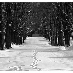Goodbye England (Covered In Snow) cover by La'i & Paige
