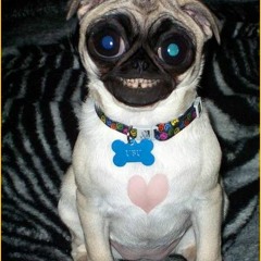 Mike S Tanz in den Winter November 2012