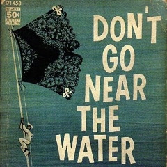 Don't Go Near the Water (Beach Boys cover)