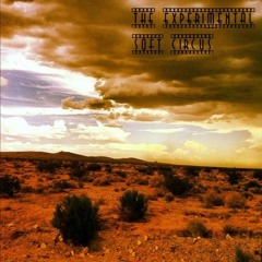 The Experimental Soft Circus