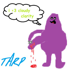 Cloudy Clarity - Tarp