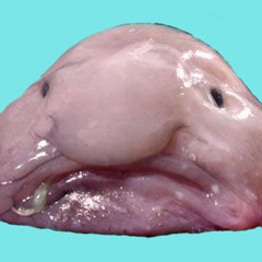 Standing, Still - Am I?