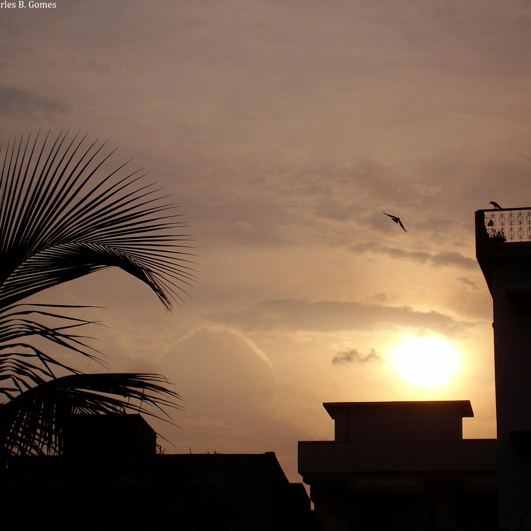 Mast ona jinsiy aloqa ogli