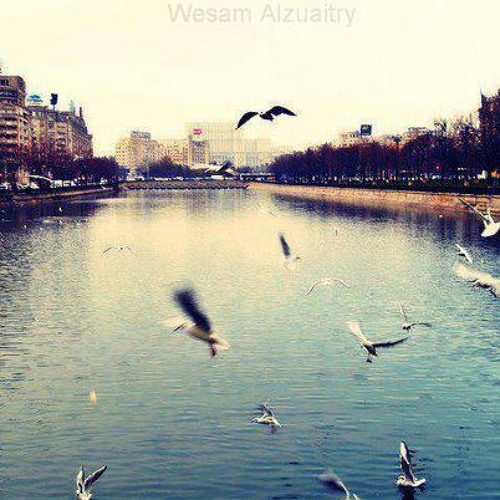 |•,لــم تعد تُغريــني الدّنيـــآ ~