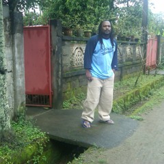 The Dub Roots Project