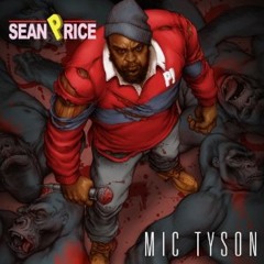 Sean Price - By The Way (feat. Torae)