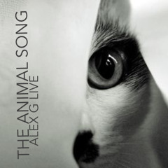 The Animal Song