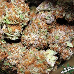 CHILL SMOKE  (PROD. BY G.P.C.)