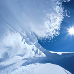 CyBEARs - snow