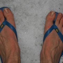 Manha de Carnaval