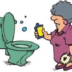 250. (09.02.2013) - Proudly Washing the Toilet at Work, 8:19 AM