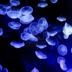 Abyss