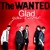 Artwork for The Wanted - Im Glad You Came (DJ Sonidito)