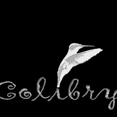 COLIBRY - In The Mix