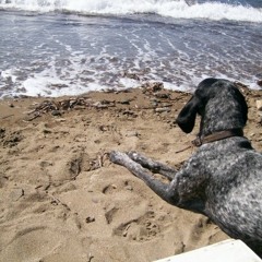 Gumusluk Jam Ekin x Danny Koplowitz