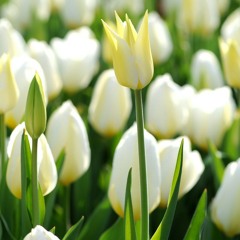 Teringat Masa Kecilku