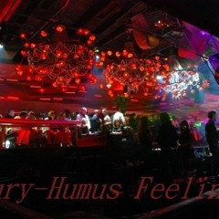 Fiury - Humus feelings ( TechPromo mix 2013 )