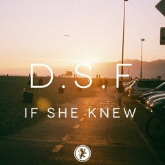 DSF – If She Knew (Original Mix)