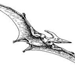 Orthopedic Pterodactyl