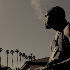 These Bitches feat. Currensy, French Montana & Fas Action