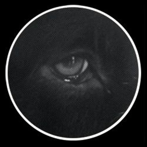 Panthera Krause __ Fews __ (Llewellyn Remix)