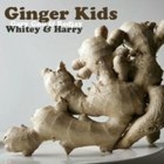 SEARCH FOR SANITY (Ginger Kids)  prod Gary Gnu