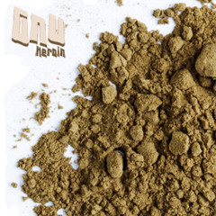 NOTHING OR NO ONE (Ginger Kids, Universal) prod Gary Gnu