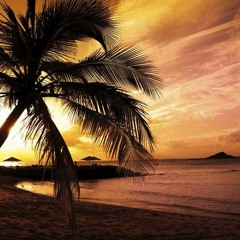 THE AVALANCHES - SINCE I LEFT YOU (PARADISE IN THE TRAP EDIT)