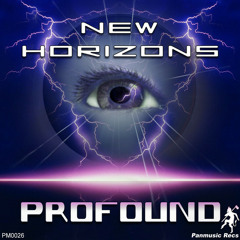 Electronic Transformation by Profound