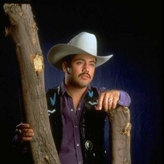 nortenitas