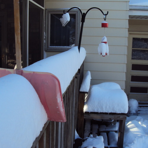 FreeqAxel sings & by Tally Hall