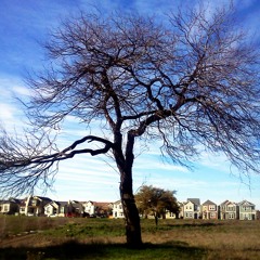 Give Me My Dream Hat Back