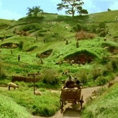 Concerning Hobbits quartet