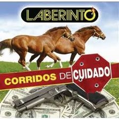 Laberinto Mix 2013