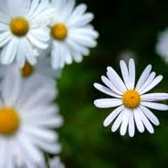 O.S.T-How about you?