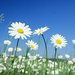 O.S.T-I just...(Transition)