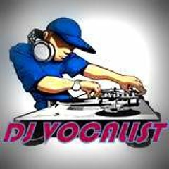 Dj vocalist brother love remix