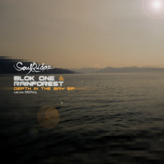 SREP015 Blok One - Depth in the bay Ep