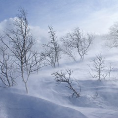 Winter Song