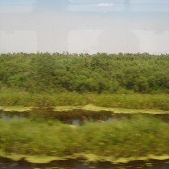 Yesterday I Had the Blues