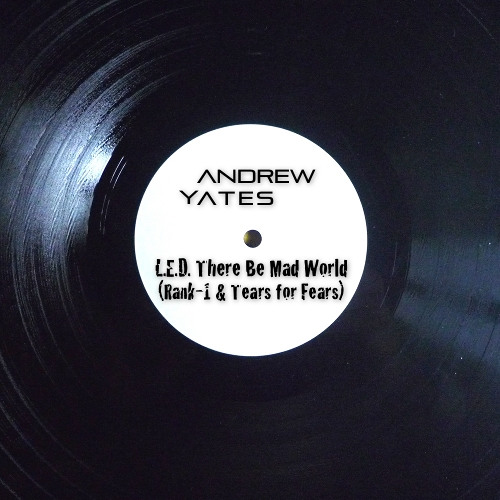 Rank 1 ft. Tears For Fears - L.E.D. There Be Mad World [Andrew Yates Mashup]