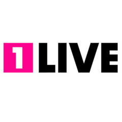 1LIVE Moving Mix (2013)