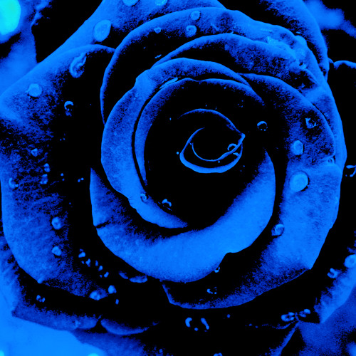 Stream Fleur bleue by The_Crouton | Listen online for free on SoundCloud