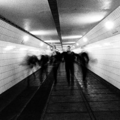 The Light Parade - The Eye Of The Storm