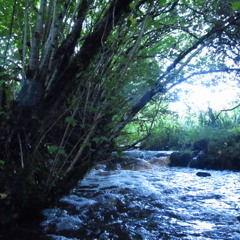 Woven Skull & Core of the Coalman - Dawn of Ends