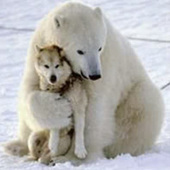 Private Party (Dungeonesse) - RICK RAB remix