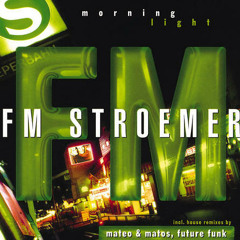 FM STROEMER - Morning Light (Elastique Culture Flight Over Hamburg Remix)