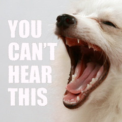 You Cant Hear This