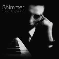 DistroKid Singer / Songwriter